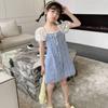 Summer Girl Princess Dresses Children's Embroidery Three Dimensional Flower Lace Mesh Dress 2-6 Years