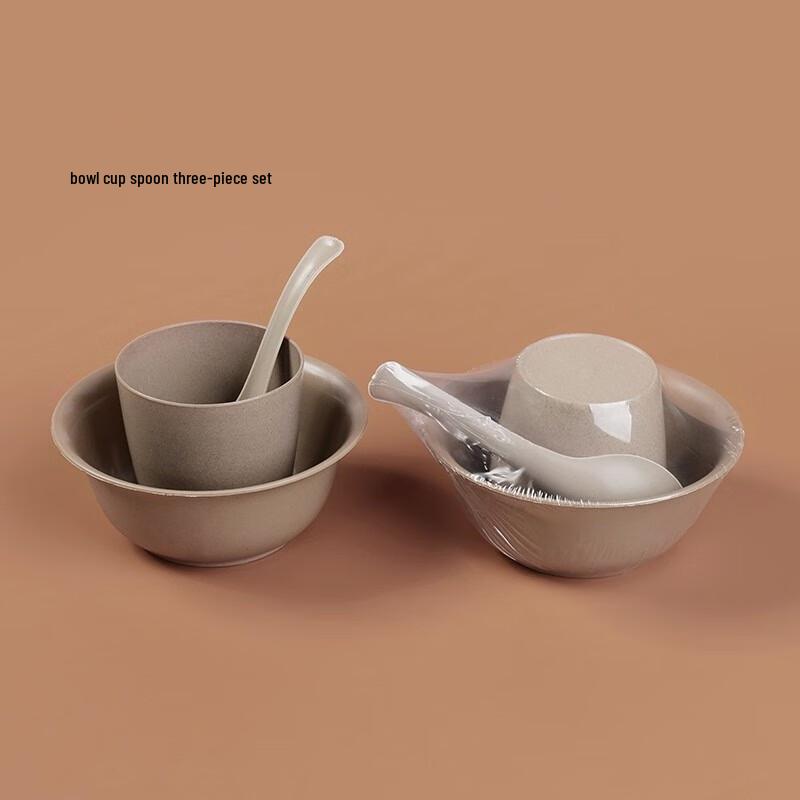 ZISIZ Disposable Bowl and Spoon 24-Pack Set