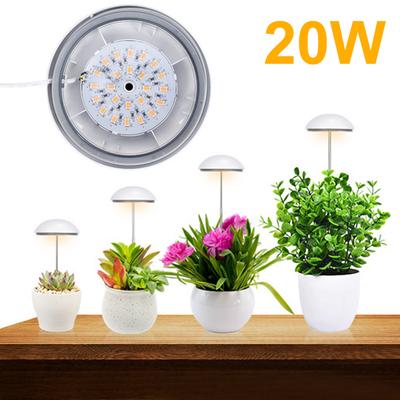 Illuminazione professionale – Lampade per coltivazione indoor
