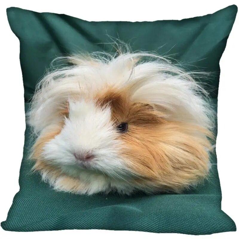 Living Room Pillowcase Guinea Pig   Modern Home