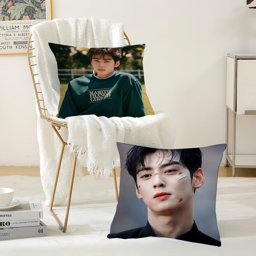 Korean Singer C-Cha E-Eun-W-Woo Pillow Case Office Cushions Suitable For Sofa Car Bedroom Decorative Cushion Cover