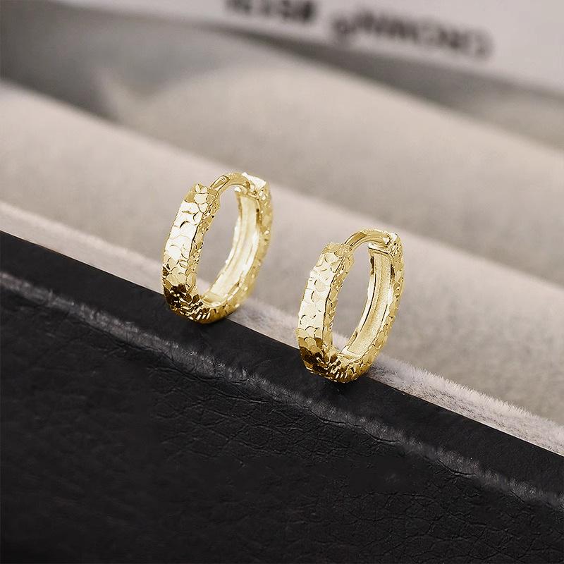 Simple Broken Ice Ice Circle Earrings Female Senior Sense of Light Luxury Niche Cold Wind Temperament Versatile Ear Buckle Earrings Casual Daily