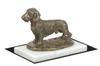 Rauhaardackel, Wiener Hund, Dachshund - Hundefigur, Statue auf weißem Marmor, Trophäe für die Art-Dog-Hundeausstellung