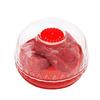 Fruit Storage Bowl Household Airtight Fruit Containers Portable Tomato Storage Container Food-Grade Fruit Bowl for Lemon Avocado