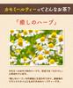 Shikisai Farm Organic Chamomile Tea Bags 1g×30 Caffeine-Free Domestic Tea