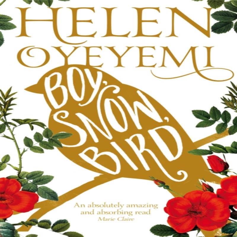 Boy Snow Bird by Helen Oyeyemi Paperback Book 9781447237143