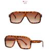 Women's Sunglasses, Fashionable Sunglasses