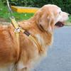 Outdoor Stainless Steel Dog Leash Heavy Duty Dog Tie Out Cable Pet Runner Cable Leads for Yard, Line Tether for Medium Large Dogs
