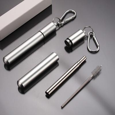 Retractable Stainless Steel Straw with Keychain Cleaning Brush Case Portable Collapsible Metal Straw Set for Travel Cruise Ship Essentials