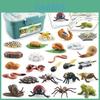 Realistic Animal Growth Cycle Storage Box Set With Mosquito Spider Ladybug Frog Worm Snail Models In Pink And Blue