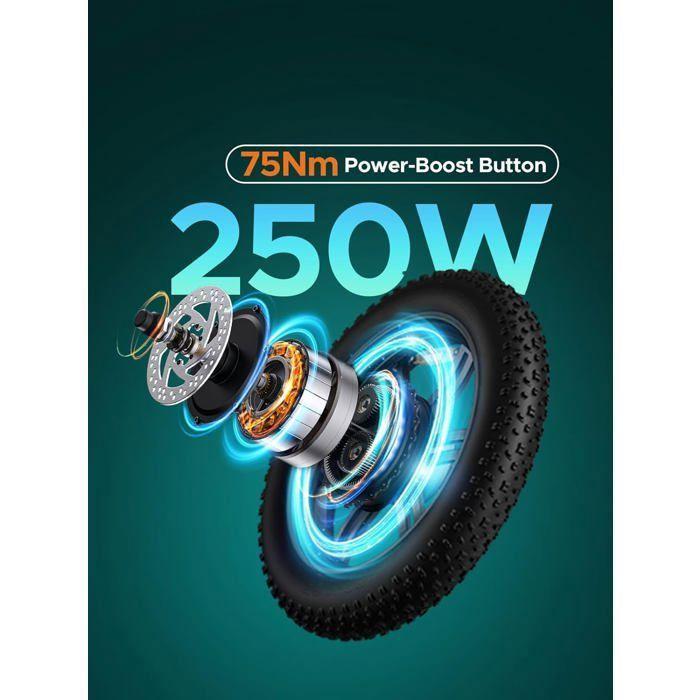 Vélo Électrique - ENGWE - L20 Boost - 20 Pouces - Autonomie 126 Km - Batterie 48 V 13 Ah