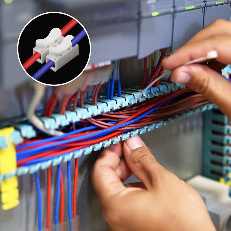 50pcs Push Quick Wire Cable CH2 Connector 10A 220V 2 Pin Push-in Spring Loaded Electrical Connectors for Lighting Electrical