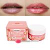 ENVISHA Beauty Health Exfoliating Lip Mask Skin Care Sleep Hydrated Maintenance Lip Scrub Cream Anti Drying Nourish Protect