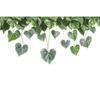 UV Transparent Green Plant Window Sticker: Bedroom Balcony Decor