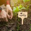 50 Waterproof Bamboo Garden Labels , for Outdoor and Indoor Plants, Seedlings, Vegetables, Plant Markers, Seedling Tags
