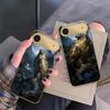 Golden Eagle with Wings For IPhone 17Pro Max 16 17 Pro 15 Pro 14 13 Plus 12 Mini 11Pro Max XR 16E 17 Air Golden glass phone case