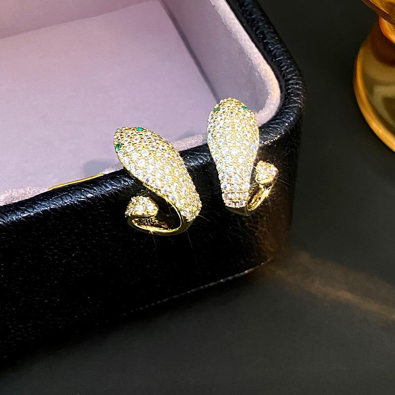 New Snake Shaped Earrings for Women, Light Luxury, Niche Design, Fashionable Earrings, High-end Ear Accessories