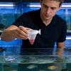 Aquarium Feeding Dish Suction Cup Aquarium Feeder Container Fish Tank Feeding Bowl For Living Room Tabletop Foyer Entryway