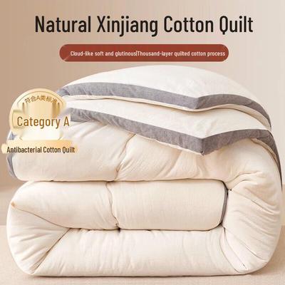 A-Class Antibacterial Thickened Winter Cotton Quilt
