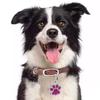 Pet Dog Puppy Paws Rhinestone Collar Tags Charm Pendant Key Ring Accessories