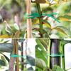 Gardening Plants and Plants Climbing Vines Fixed Cable Tie Bracket Coil Wire Plastic Wire with Shears