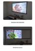 Outdoor Portable HD Projector Screen, 100-120 Inch, Light-Resistant, Wall/Floor Mount, White Grid