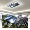 Fluorescent Light Cover with 10 Magnets Exquisite Pattern Easy Installation Fluorescent Light Filter Magnetic Ceiling Light Cover