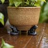 3 Stuks Dierlijke Bloempot Pot Ondersteuning Voetjes, Schildpad Kikker Hond Kat Konijn Bloempot Houder Verhoger Lift Standbeeld, Hars Dier Figuur Standbeeld Decoratie