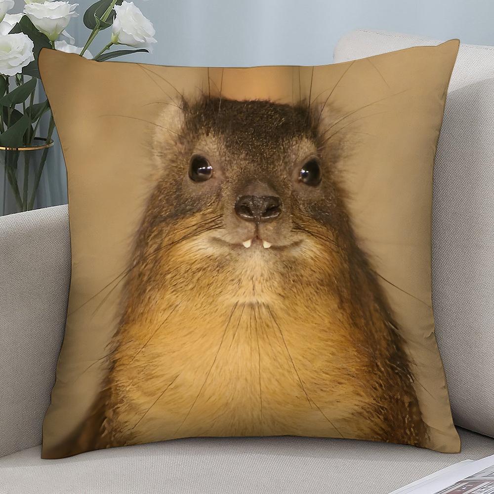 Rock Hyrax Animal Pillow Case Short Plush Pillow Covers Sofa Decorative Gift Home Double-sided Printing Cushion Cover