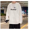 Printed Autumn Winter Sweater Men's Spring and Autumn 2024 Korean New Round Neck Loose Top Chic Hong Kong Style Trendy