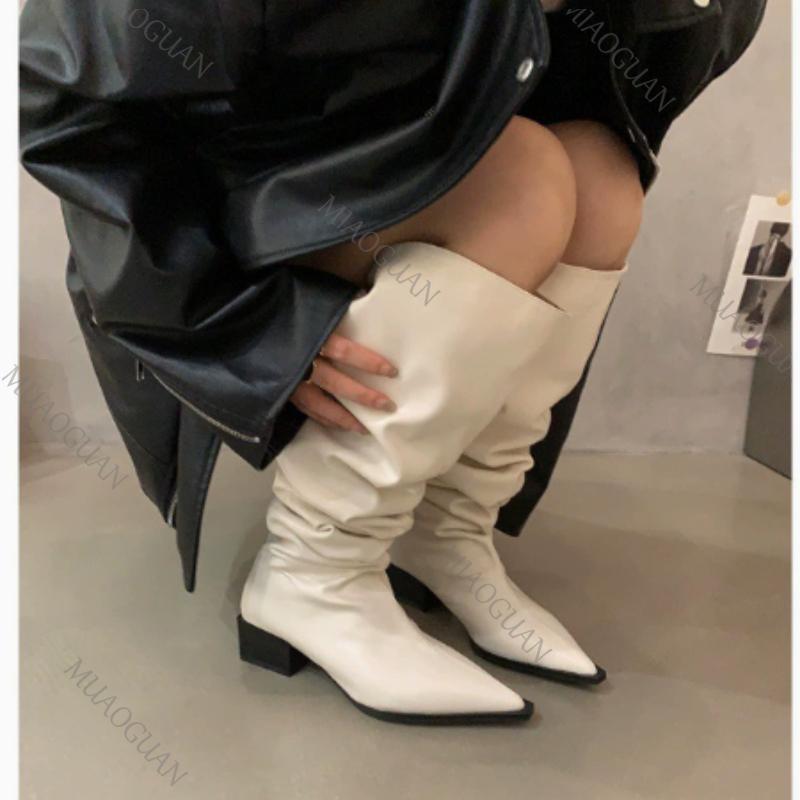 Women Over The Knee High Boots Fashion Suede Pointed Toe Shoes Autumn Winter Thick Middle Heel Western Cowboy Long Botas