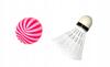 Badminton Tennis Set with Two Rackets, Shuttlecock and Ball