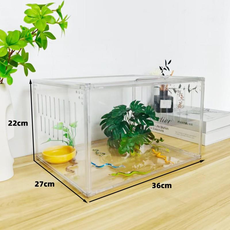 Acrylic Transparent Hermit Crab Terrarium With Escape-Proof Design Coconut Fiber Substrate Setup Reptiles Geckos