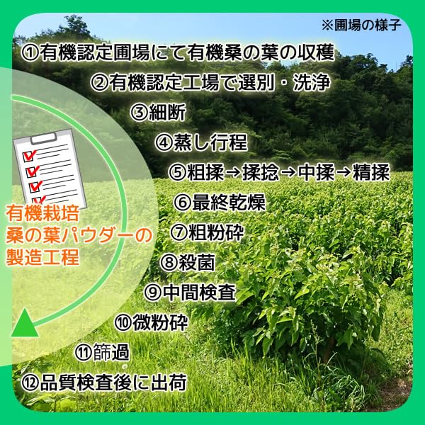 Healthy Company Organic Mulberry Leaf Powder 100g Organic Cultivation Mulberry Leaf Tea Powder Aojiru Domestic Ingredients Kagoshima and Other Regions