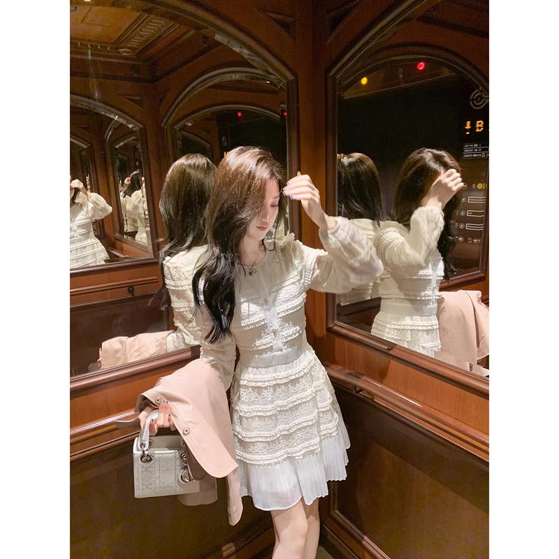 Elegant French Lace Tiered Dress