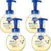 Safeguard White Tea Foaming Hand Wash