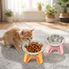 Large Diameter Pet High Footed Bowl Detachable Dog Drinking Bowl  Dog Accessories