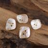 10pcs/set Irregular Shape Natural Shell Buttons with Two Holes for DIY, Clothing Accessories, Etc
