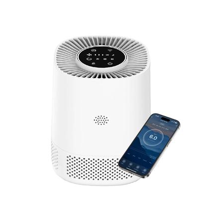 Indoor Effective Detection and Removal of Harmful Gases High-efficiency Air Filter Portable Odor Eliminators Purification System