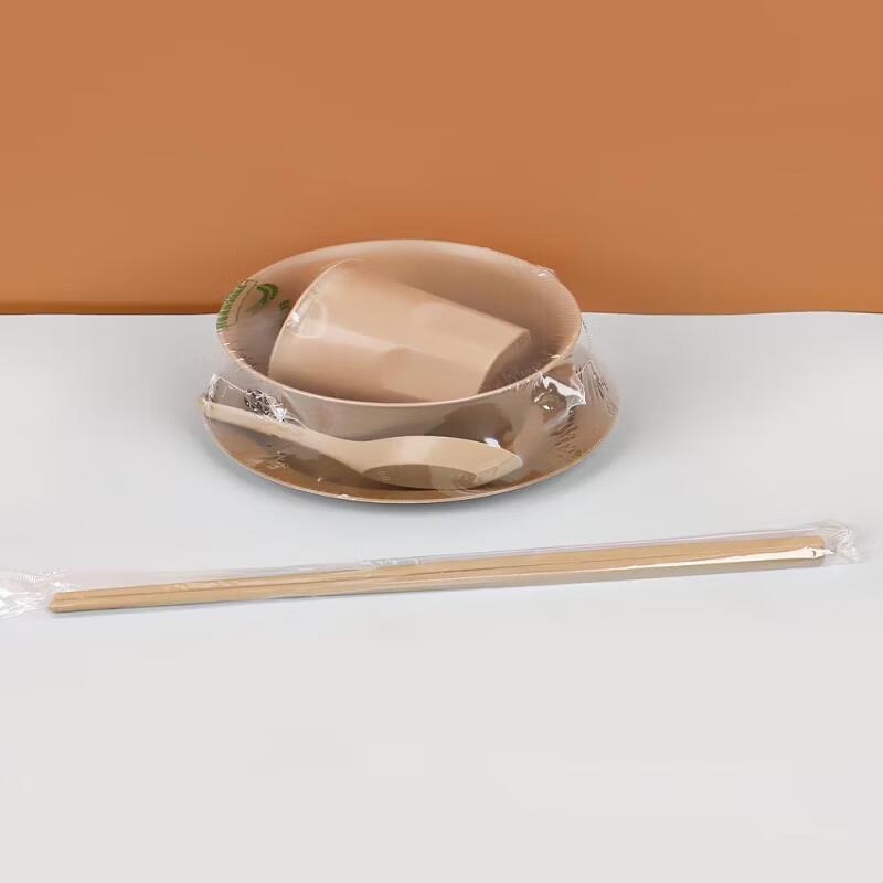Disposable Ceramic Tableware Set