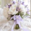 Sewing Decor Lace Mesh Bowknot Wedding Decoration Flower Bow Applique  Children's Pantyhose