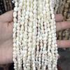Gelbe Hufeisenschnecke Königin Muschelschale Perlen - Unregelmäßige DIY Armband & Handyketten Zubehör