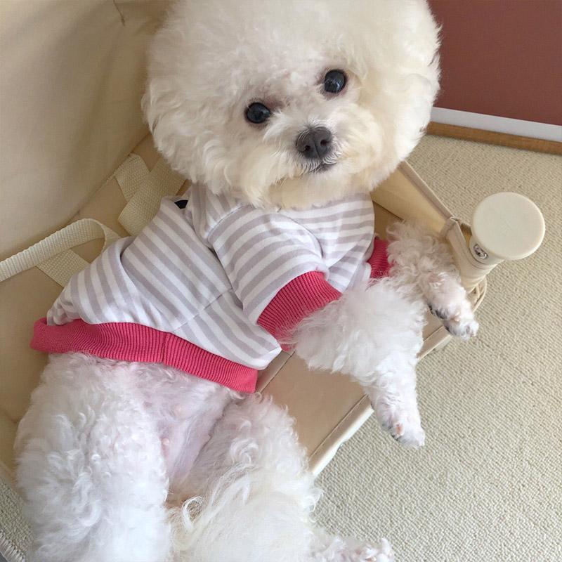 

Полосатая одежда для домашних животных, одежда для щенков чихуахуа, мягкая хлопковая рубашка для домашних животных, йоркширская одежда для домашних животных, костюм для маленьких собак, костюм мопса йорка XXL розовый