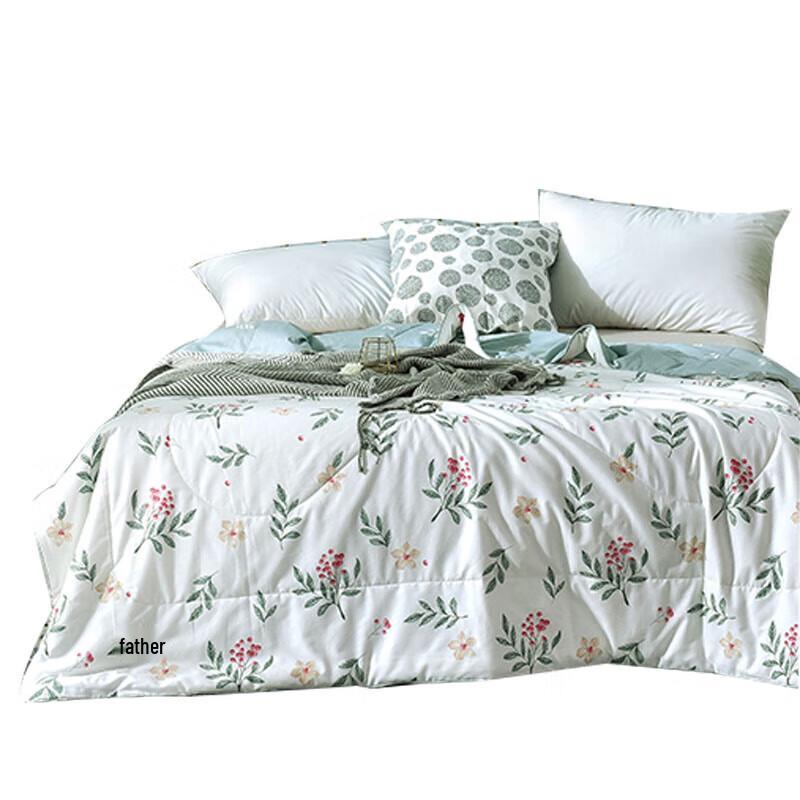 

Shanshan All-Season Printed Fiber Quilt