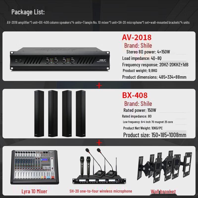 SHILE Professional Conference Audio System