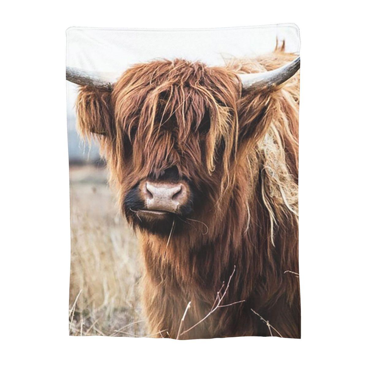 

Highland Cow Print Blankets Fleece Sofa Throw Blanket Super Soft Throw Blankets for Home Bedroom Office Throws Bedspread Quilt 80x120cm