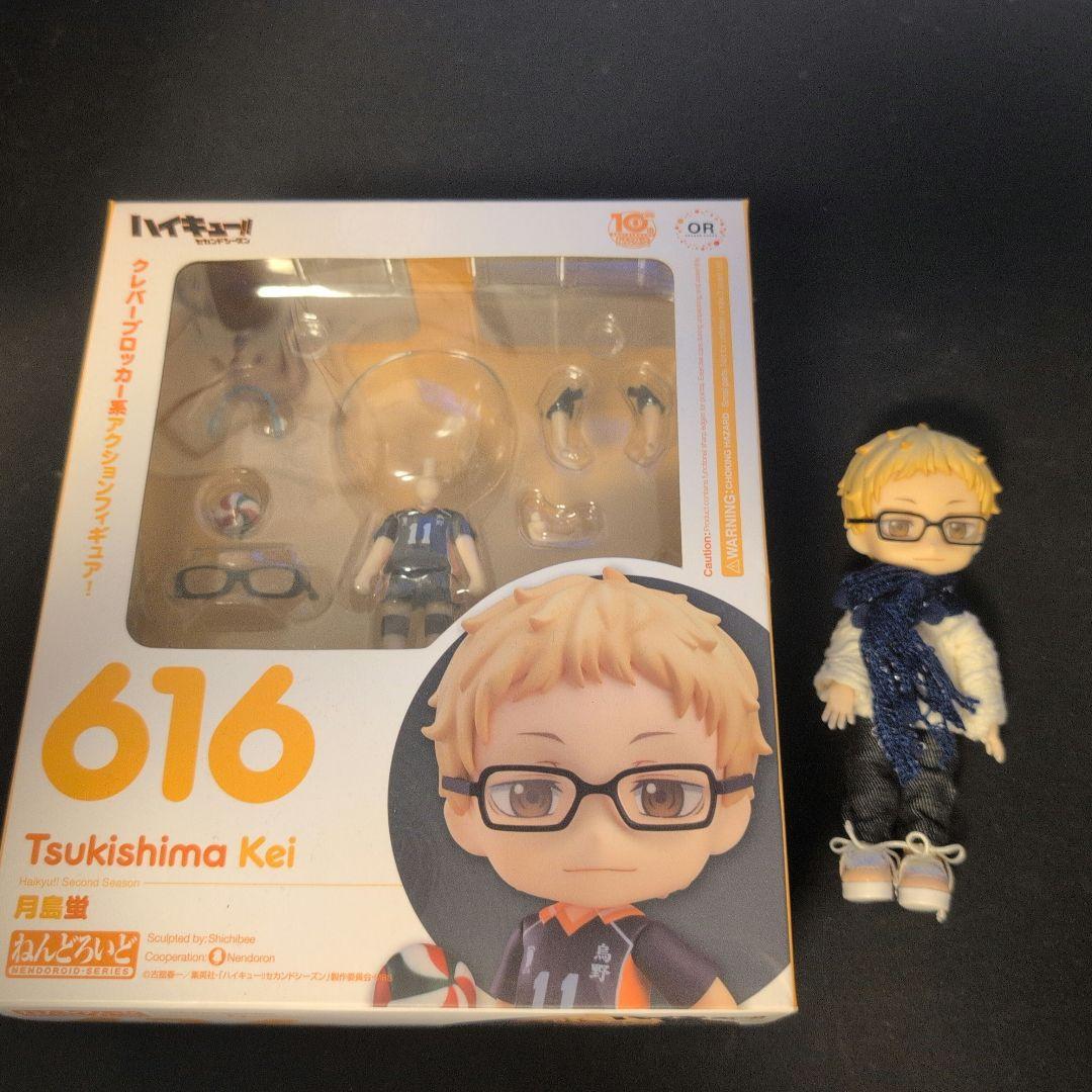 

[USED] Tsukishima Hotaru Nendoroid