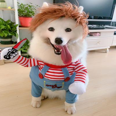 Ropa y calzado – Conjuntos para perros