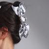 Cute Hairpin Bow Hair Claw French Style Bow Hair Rope Fashion Cashew Flower Hair Clip  Daily
