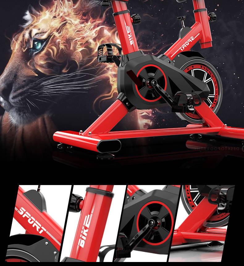 Dynamic Indoor Exercise Bike - Super Silent Fitness Equipment for Weight Loss